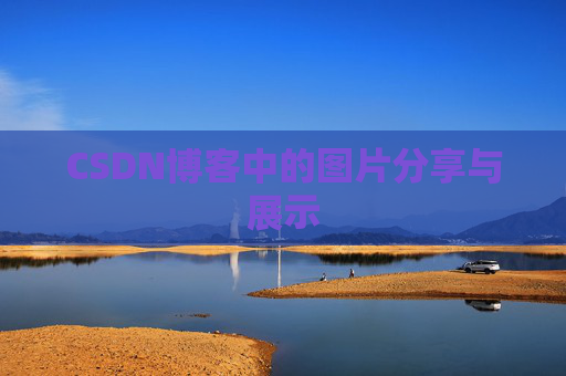 CSDN博客中的图片分享与展示